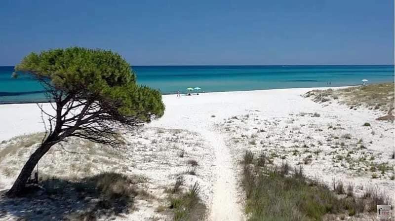 Le residenze del mare Affittacamere La Caletta Esterno foto